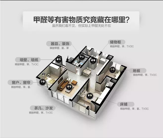 除了除甲醛公司，我們還可以這樣除甲醛